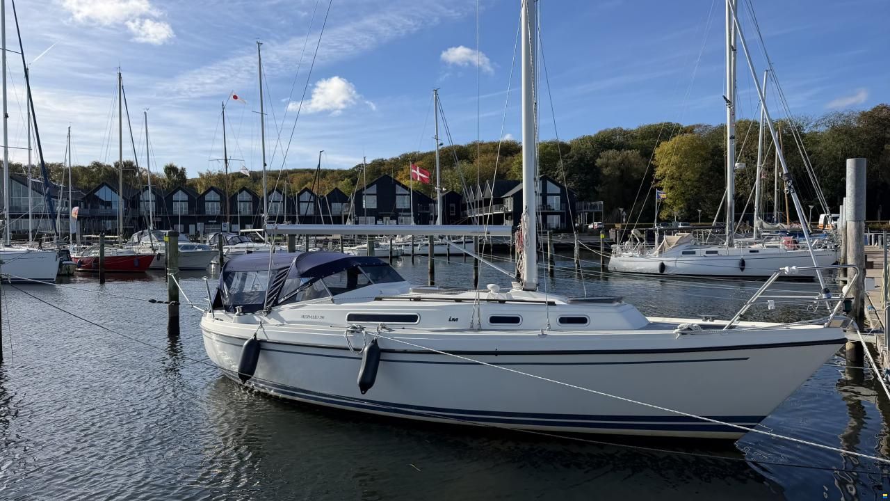 LM Mermaid 290