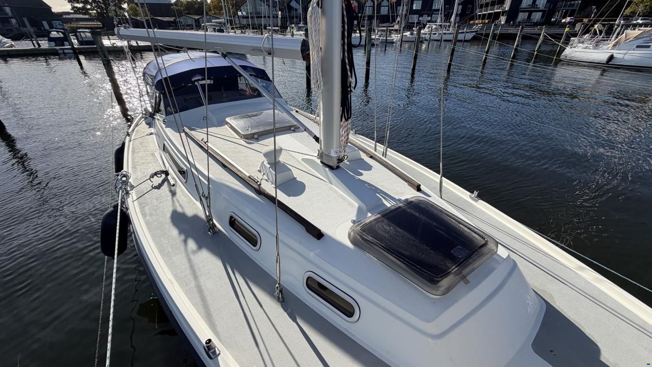 LM Mermaid 290