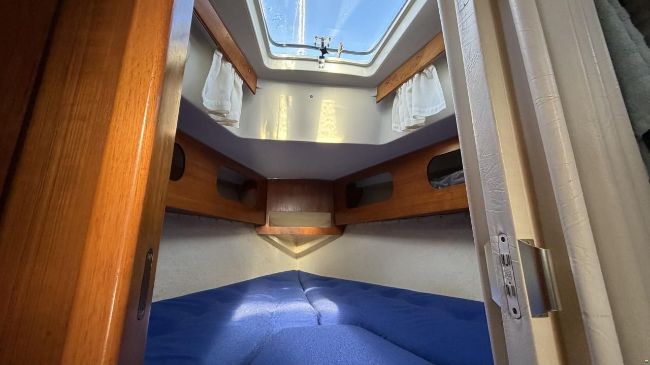 LM Mermaid 290