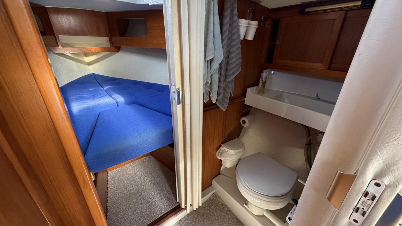 LM Mermaid 290