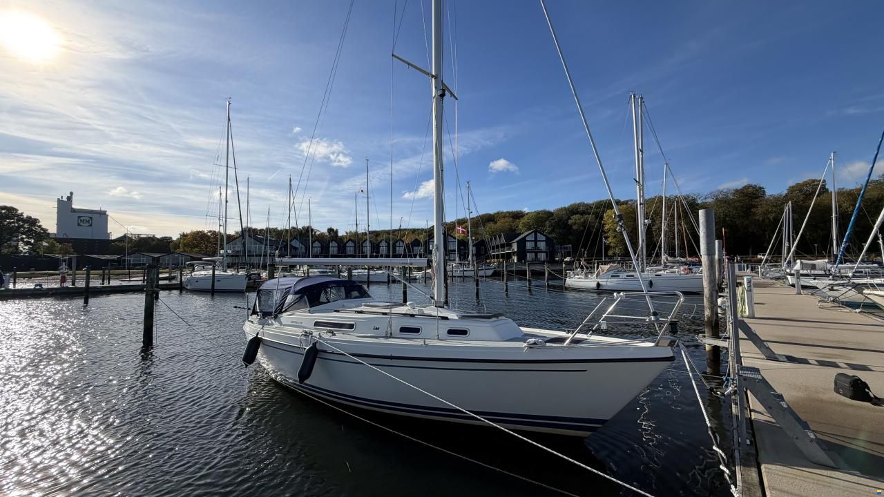 LM Mermaid 290