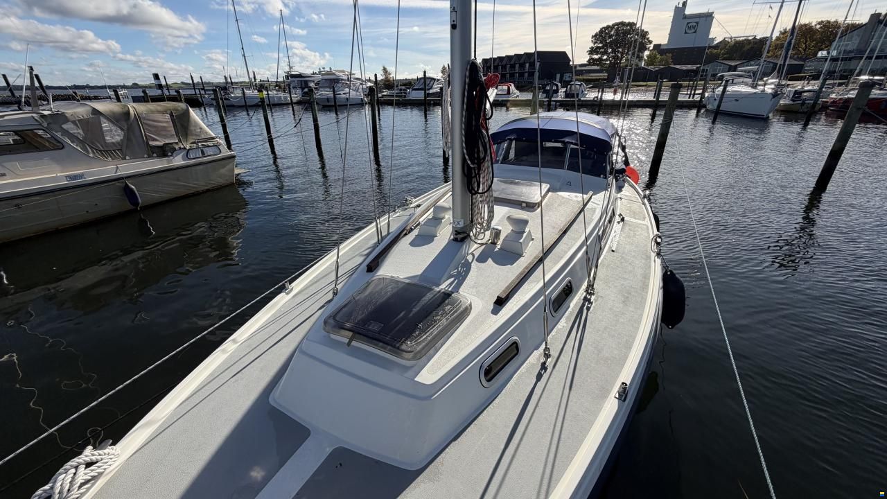 LM Mermaid 290