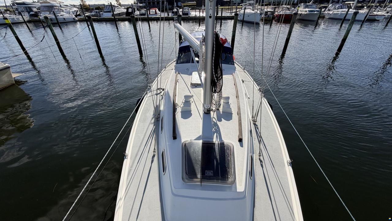 LM Mermaid 290