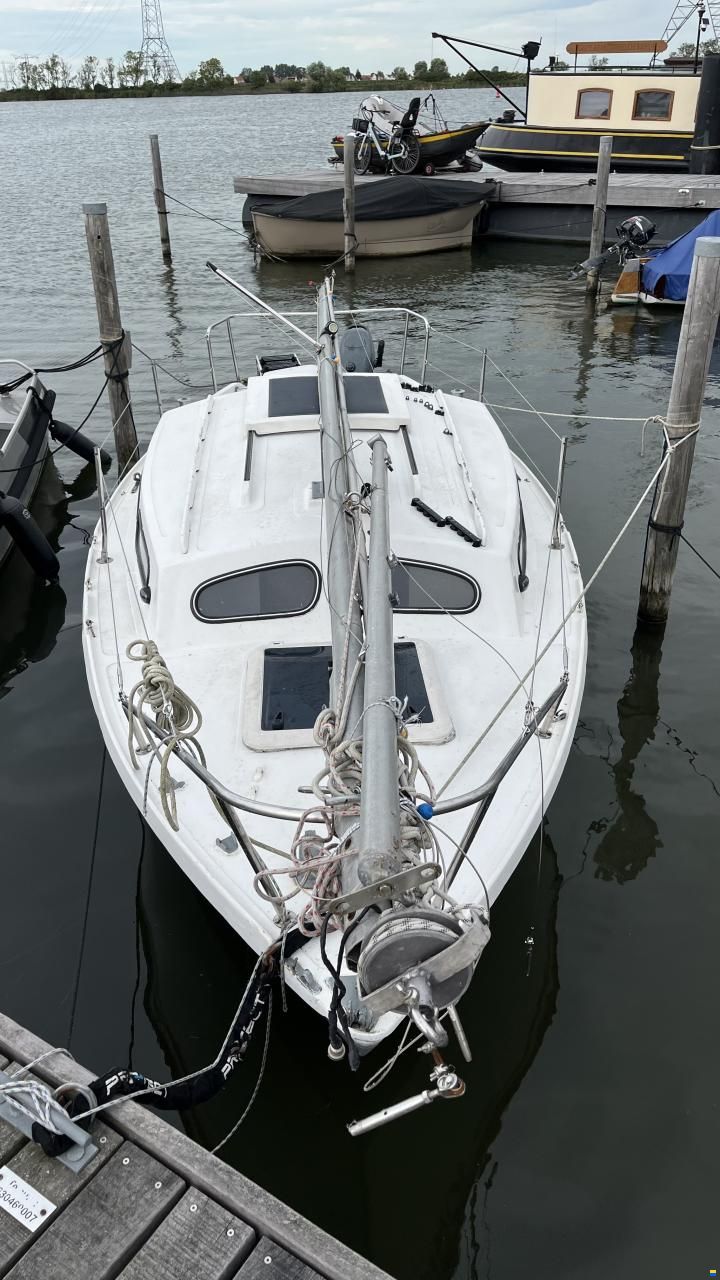 Hurley 20