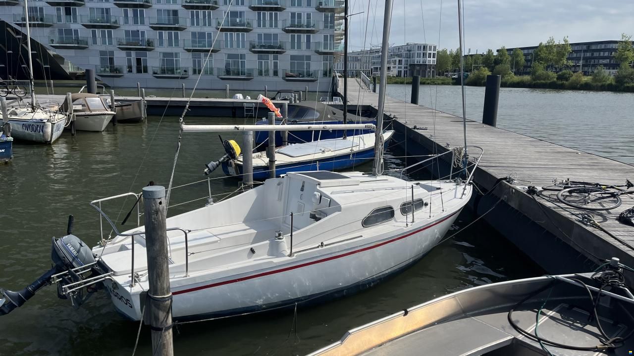 Hurley 20