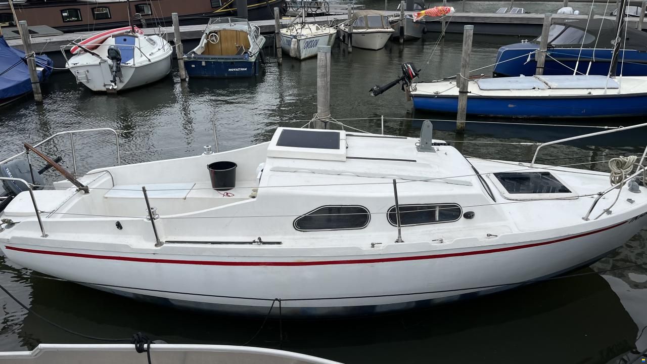 Hurley 20