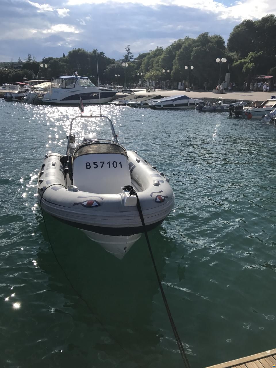 Ribeye 550 Playtime
