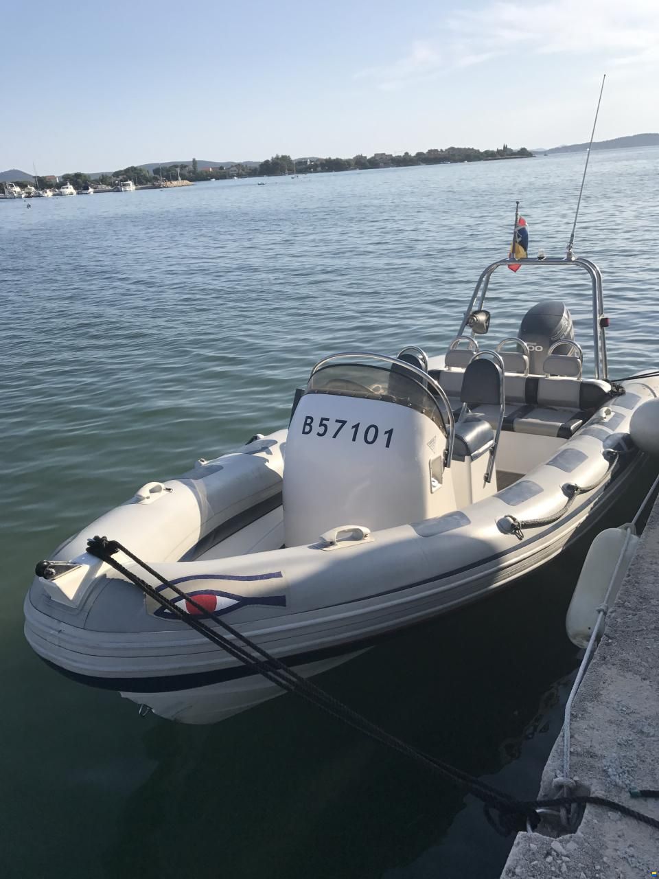 Ribeye 550 Playtime