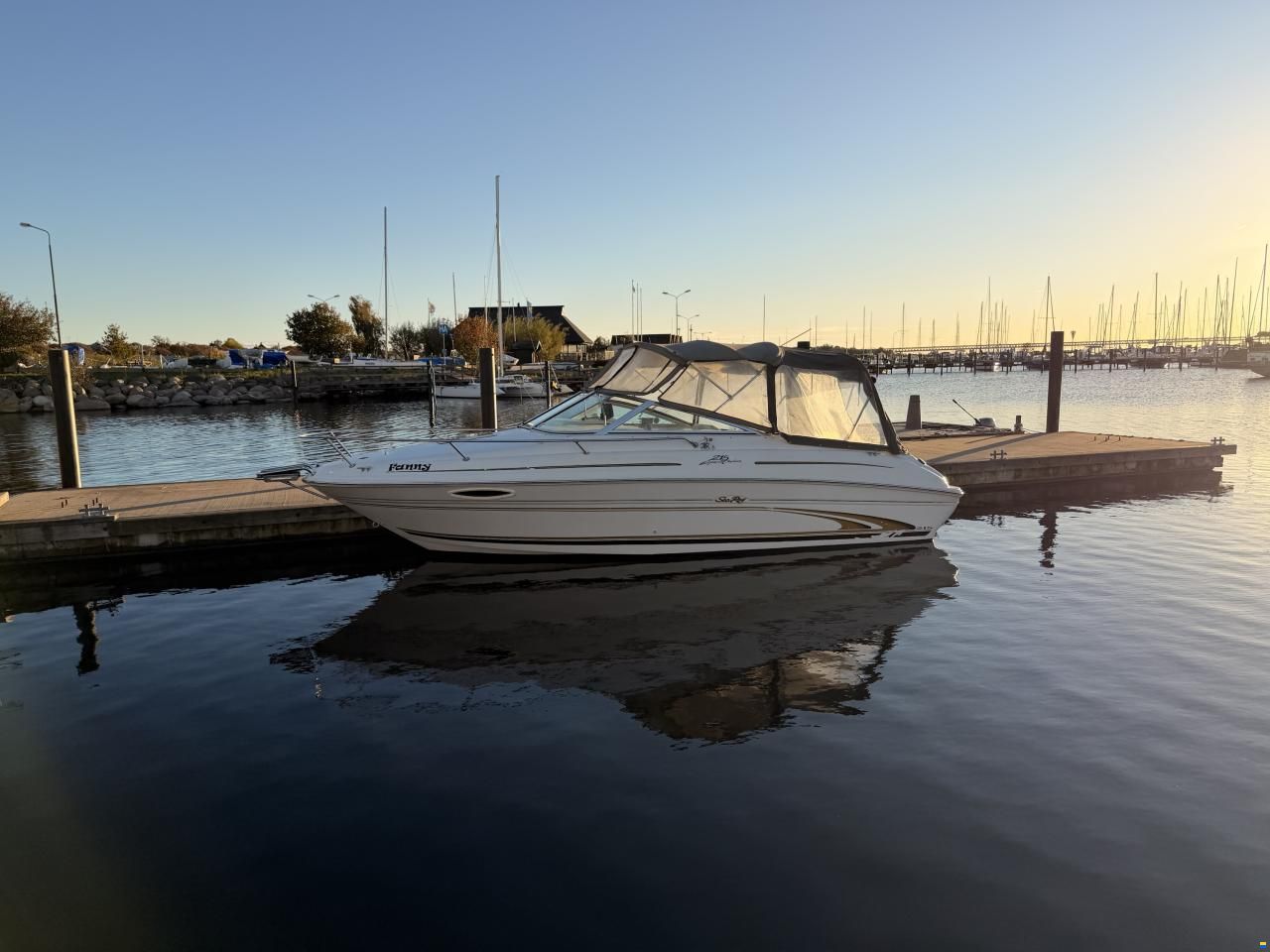 Sea Ray 215 Express Cruiser