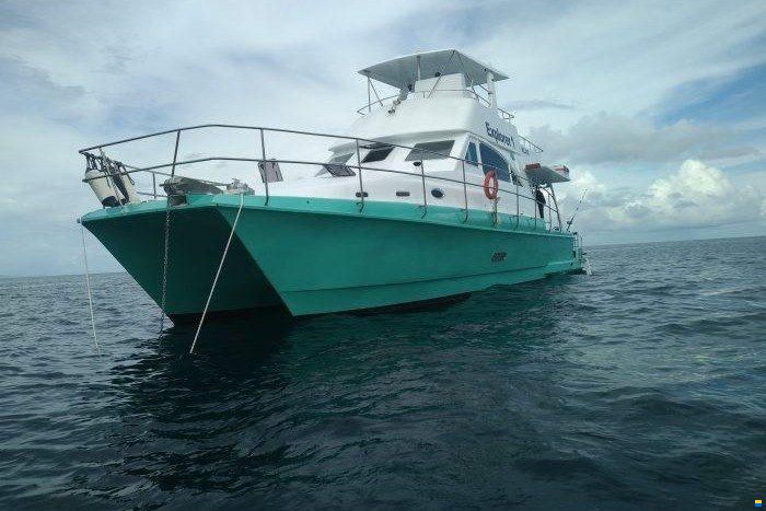 Custom Built Conde Catamarans