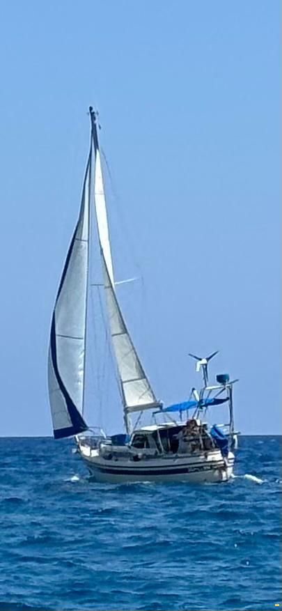 LM 28