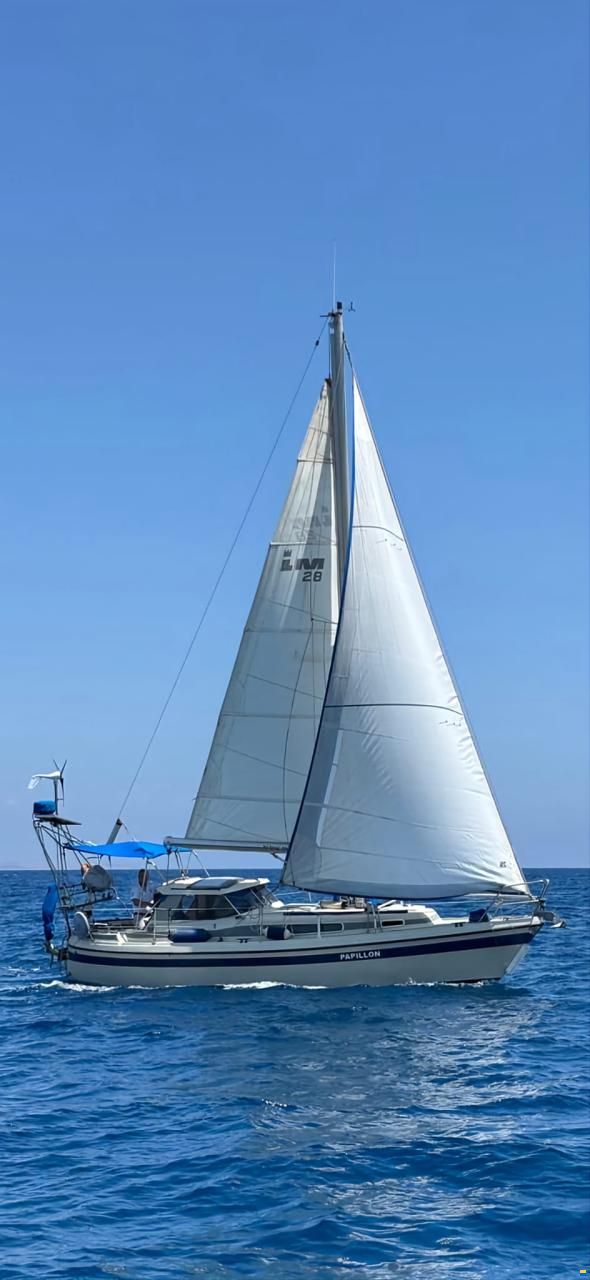 LM 28