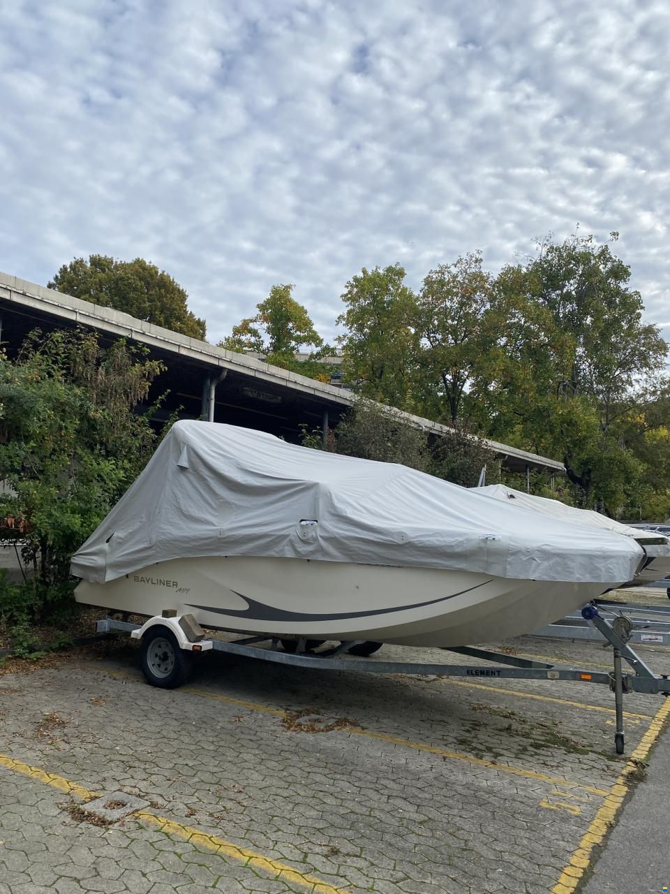 Bayliner M19