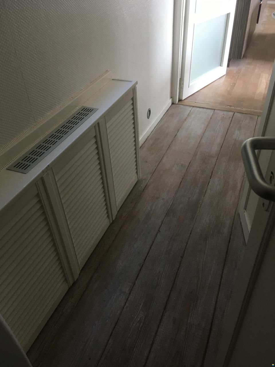 Platbodem