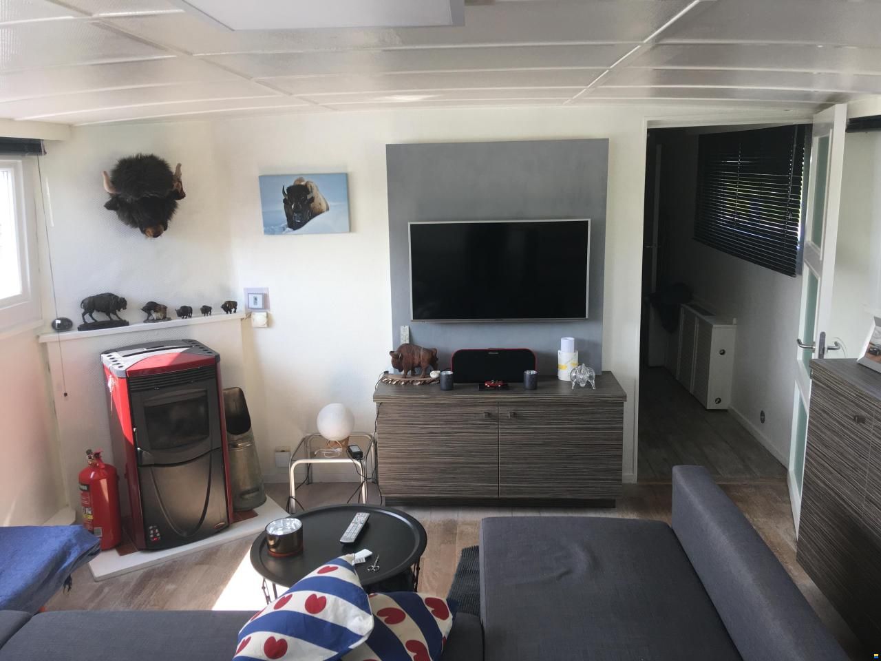Platbodem