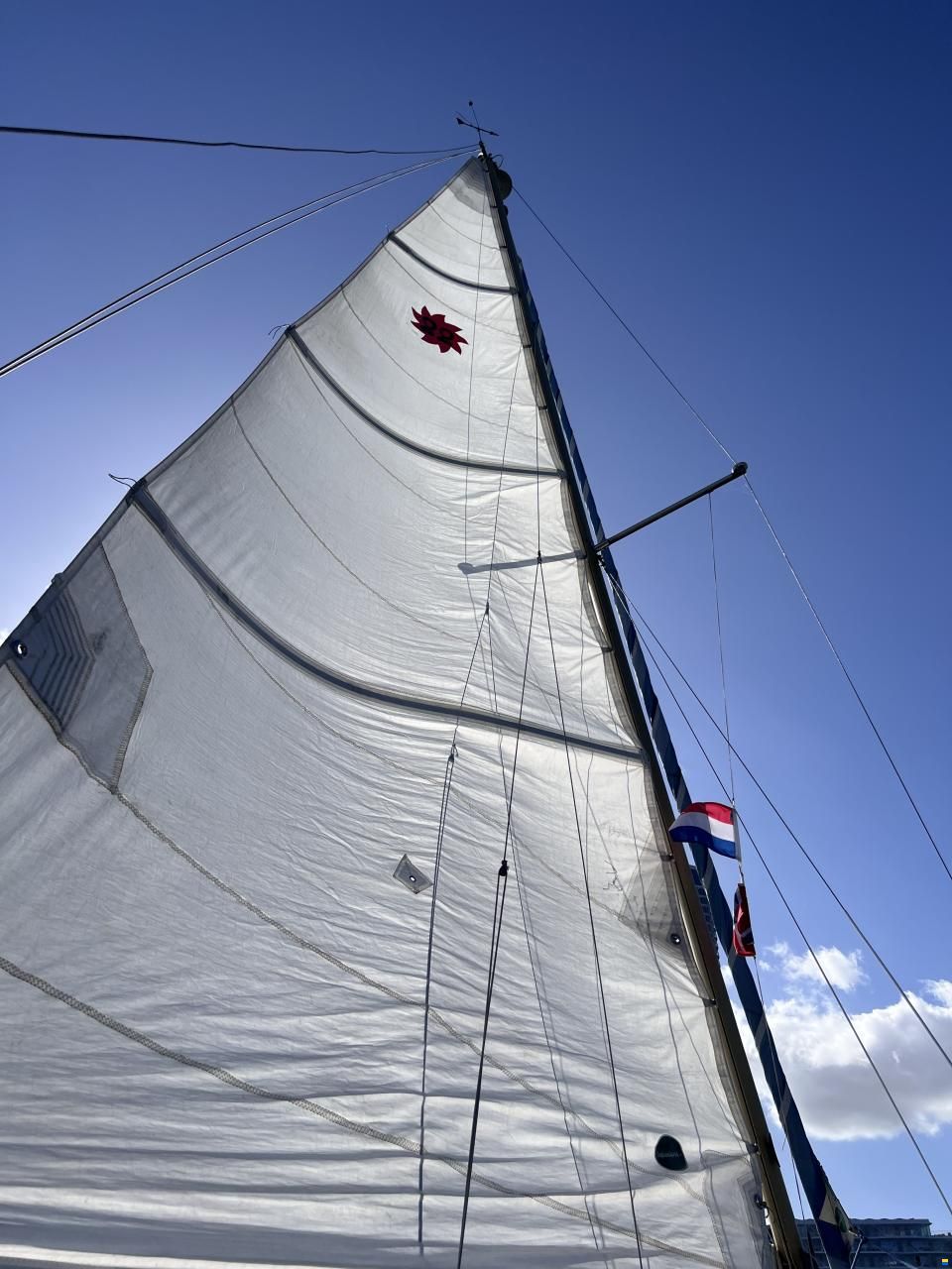 Cobramold Leisure 22