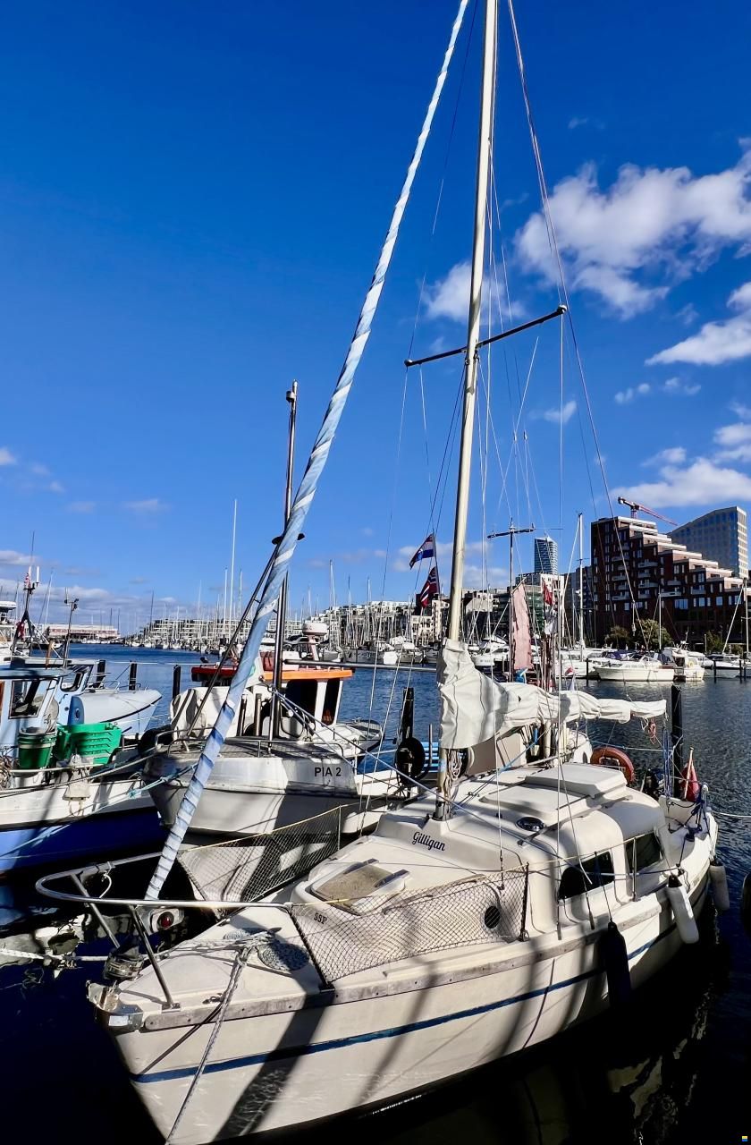 Cobramold Leisure 22