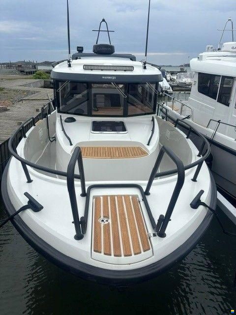 Sargo Explorer 31
