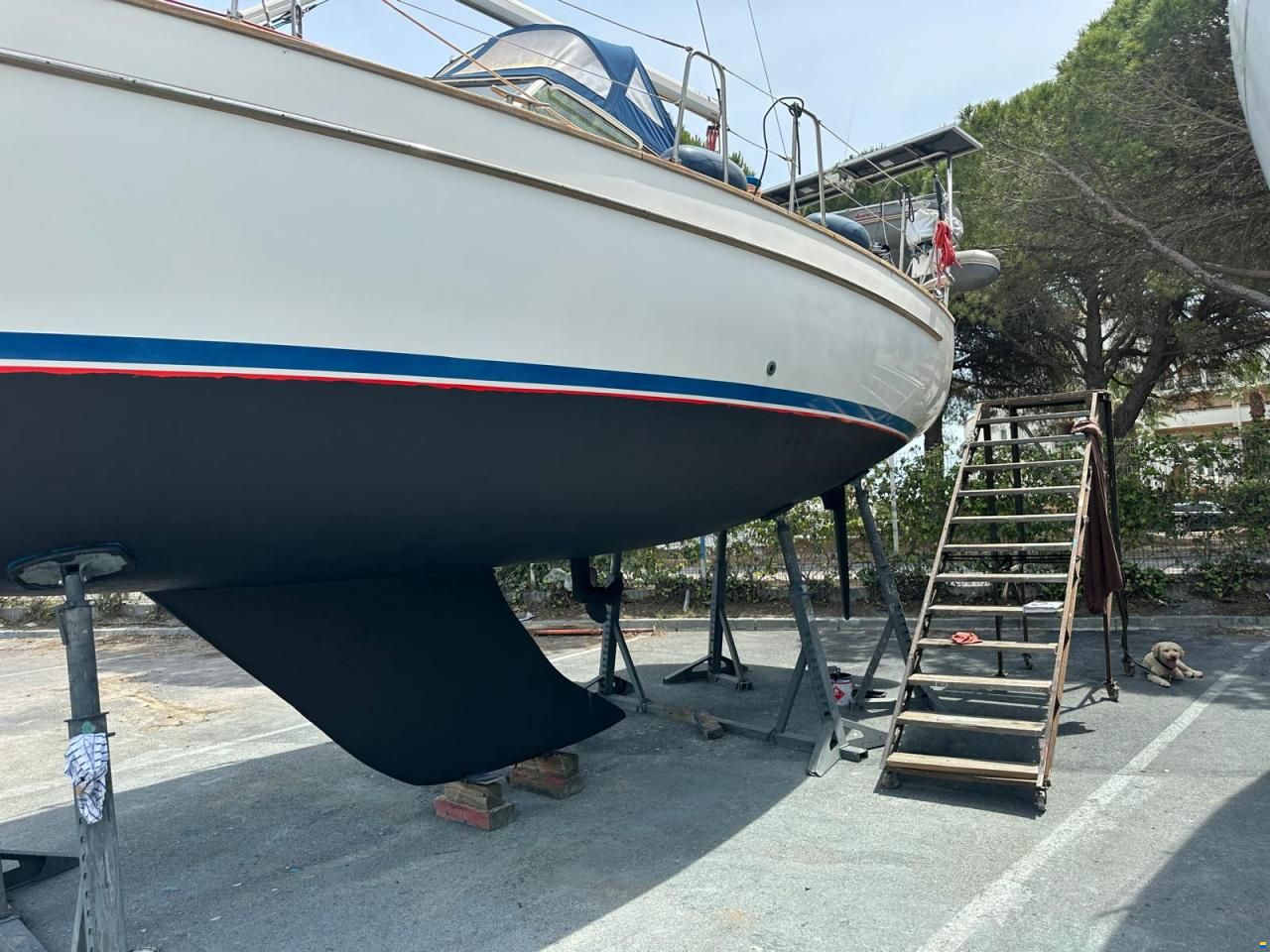 Bavaria 38 Ocean