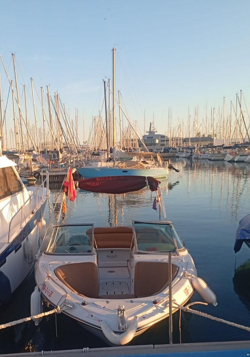 Four Winns 210 Horizon