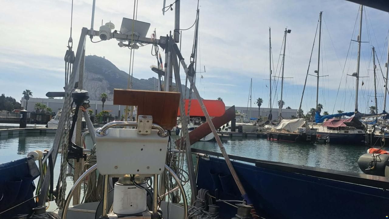 Bianca Commander 31