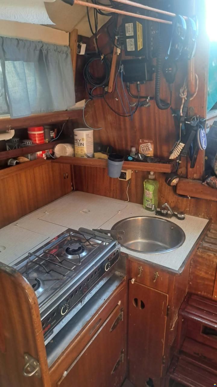 Bianca Commander 31