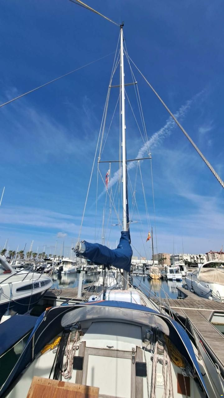 Bianca Commander 31
