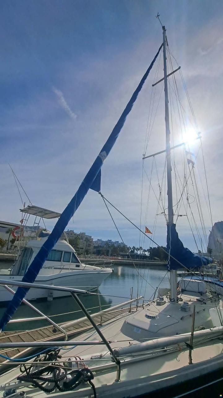 Bianca Commander 31