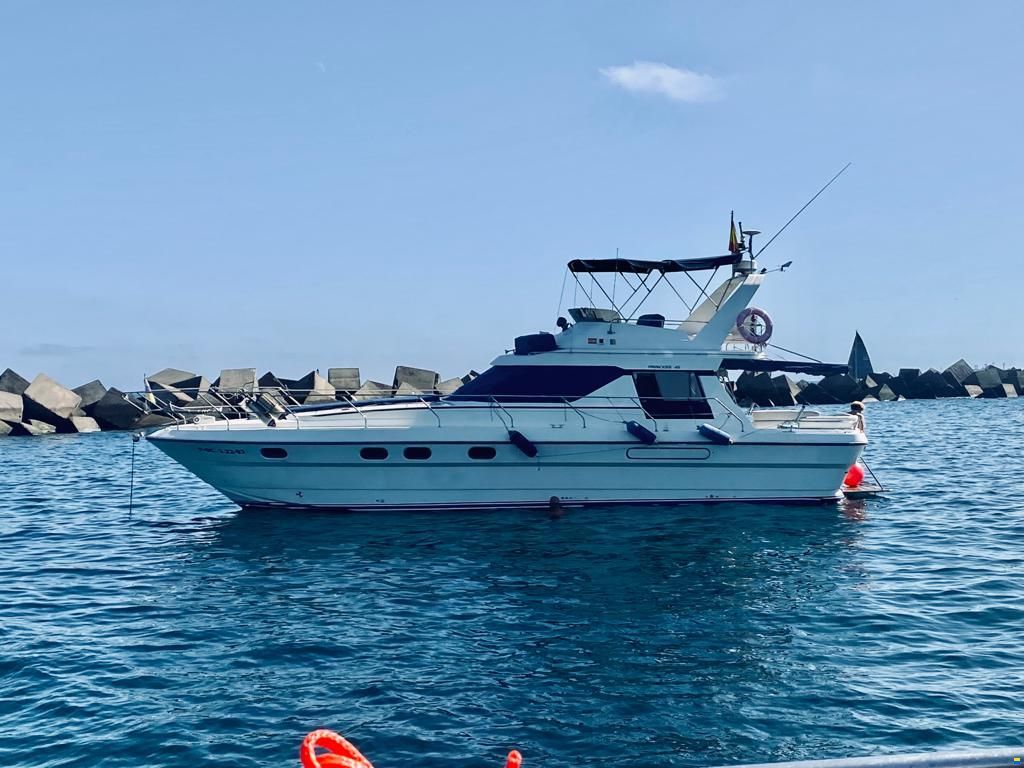 PRINCESS 45 FLYBRIDGE