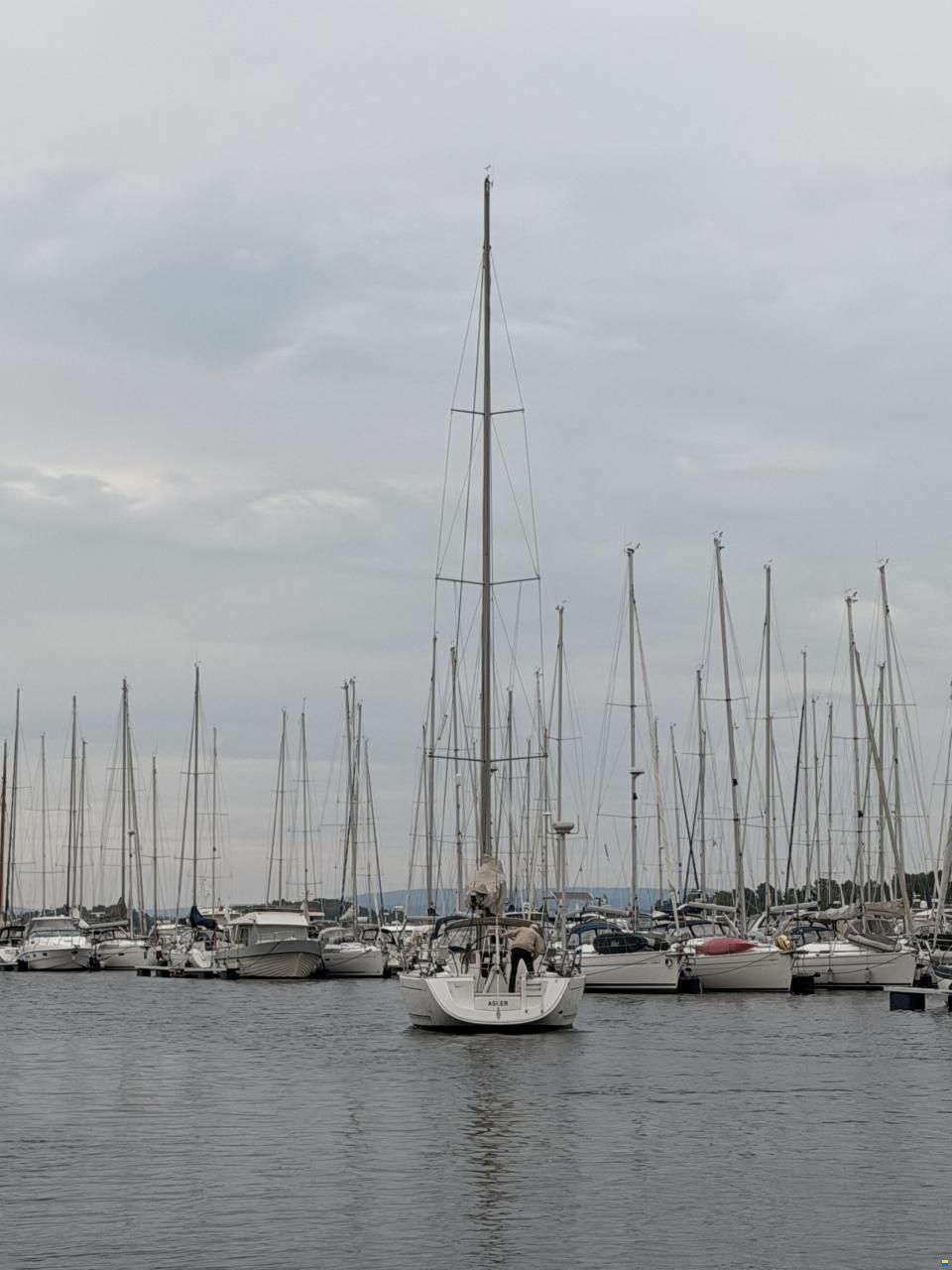 Dufour 44