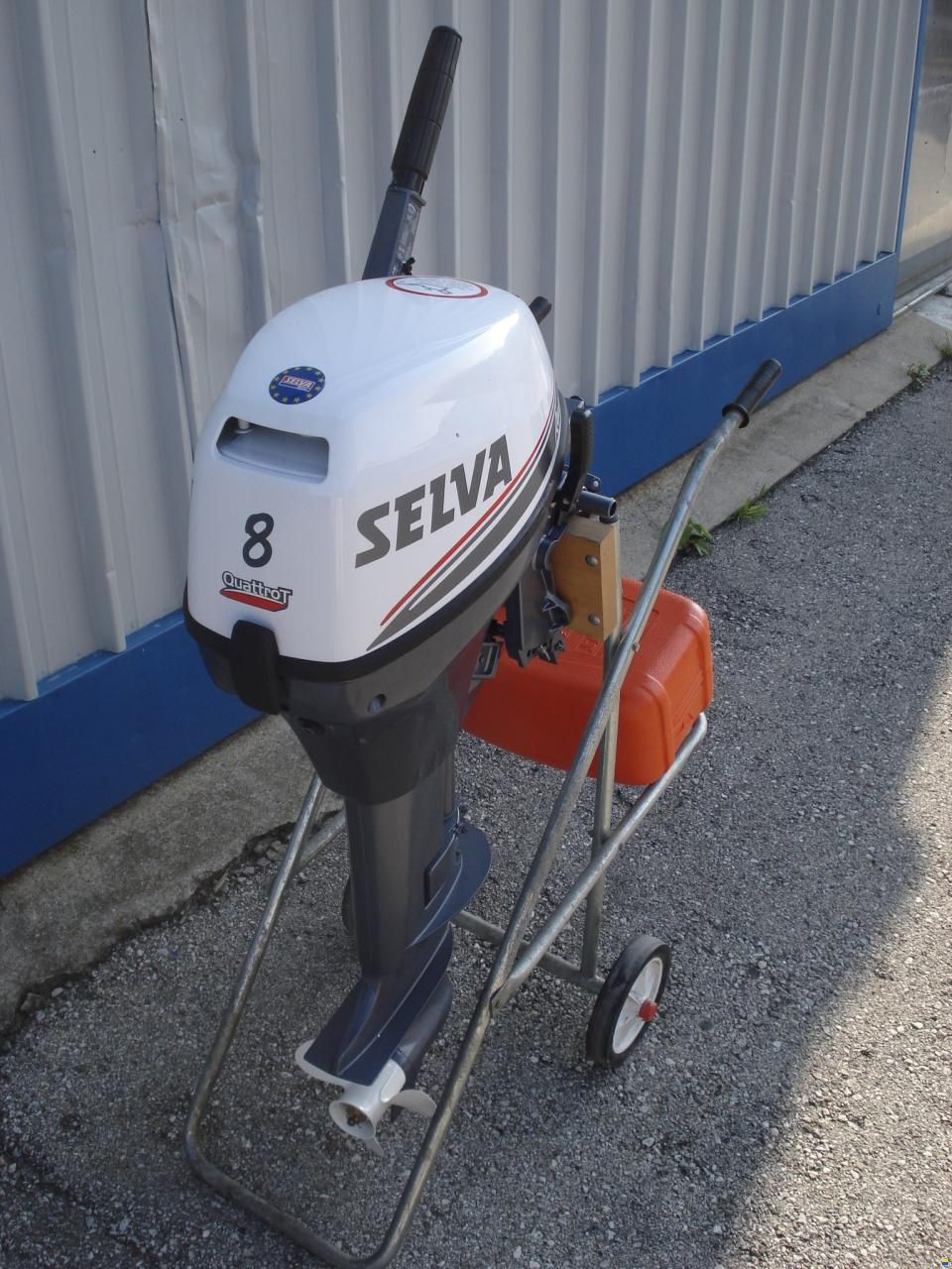 Selva Ray 8