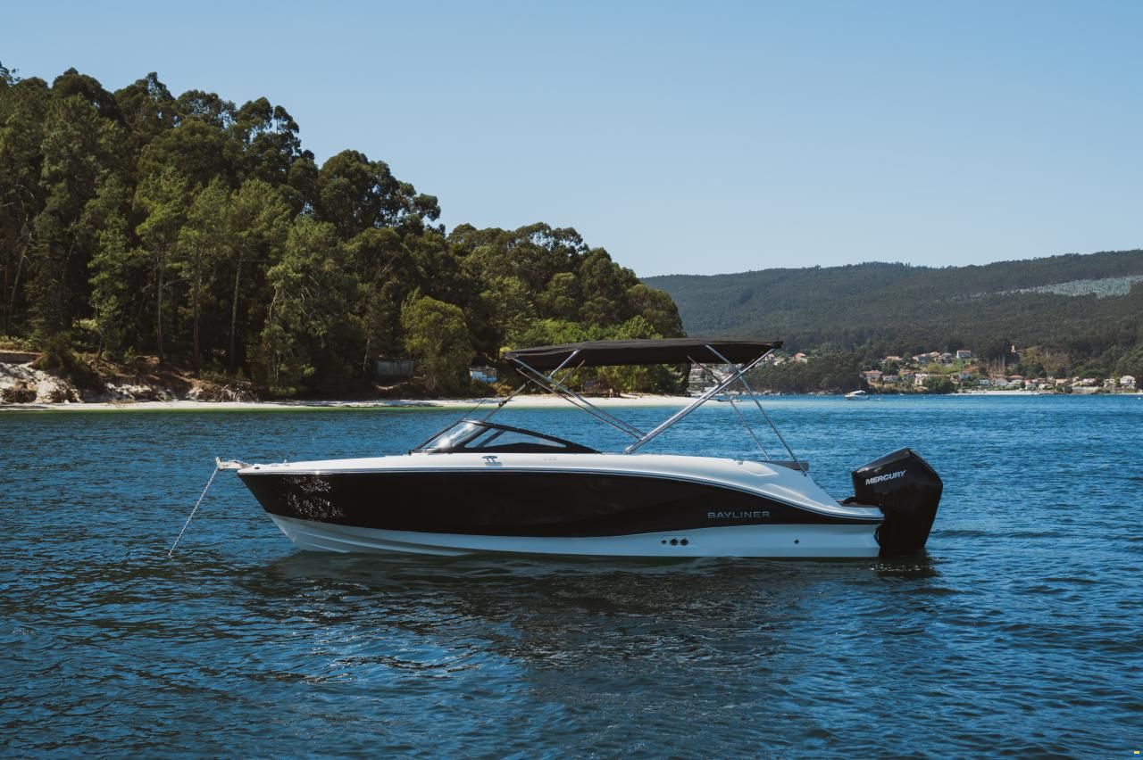 Bayliner V22 OE