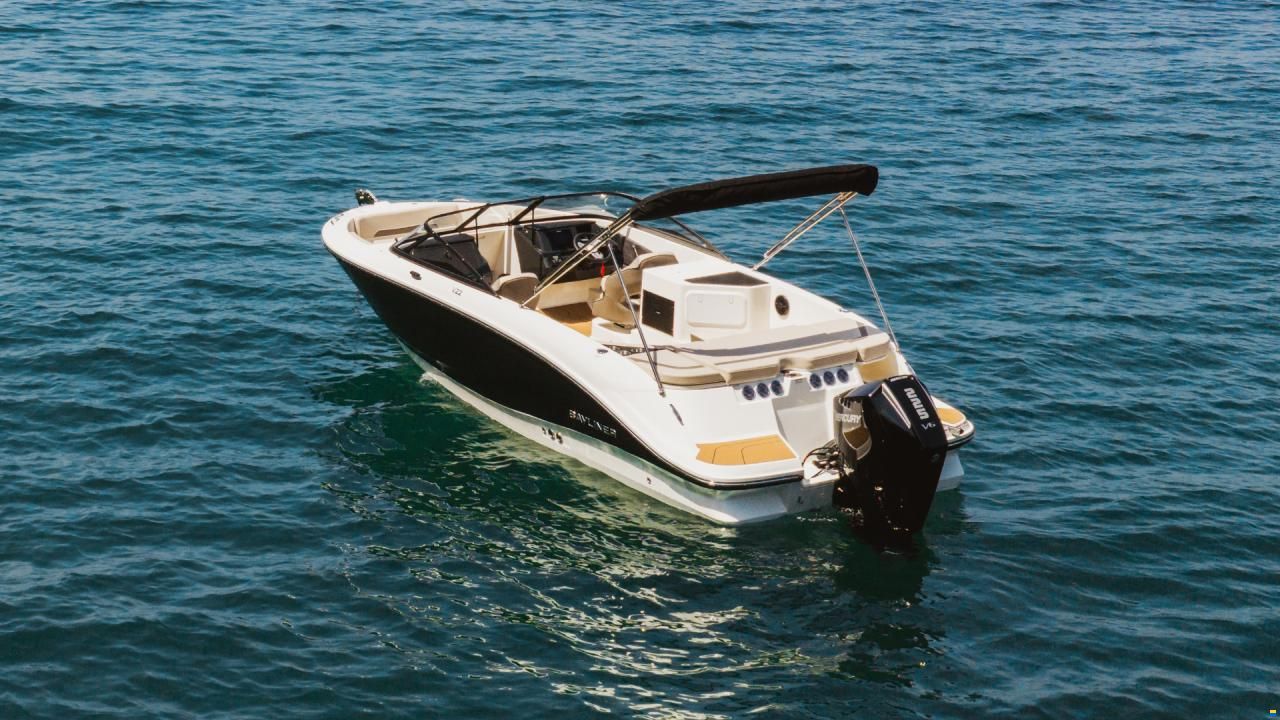 Bayliner V22 OE