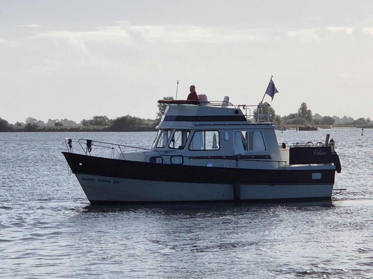 Husky Dane 85