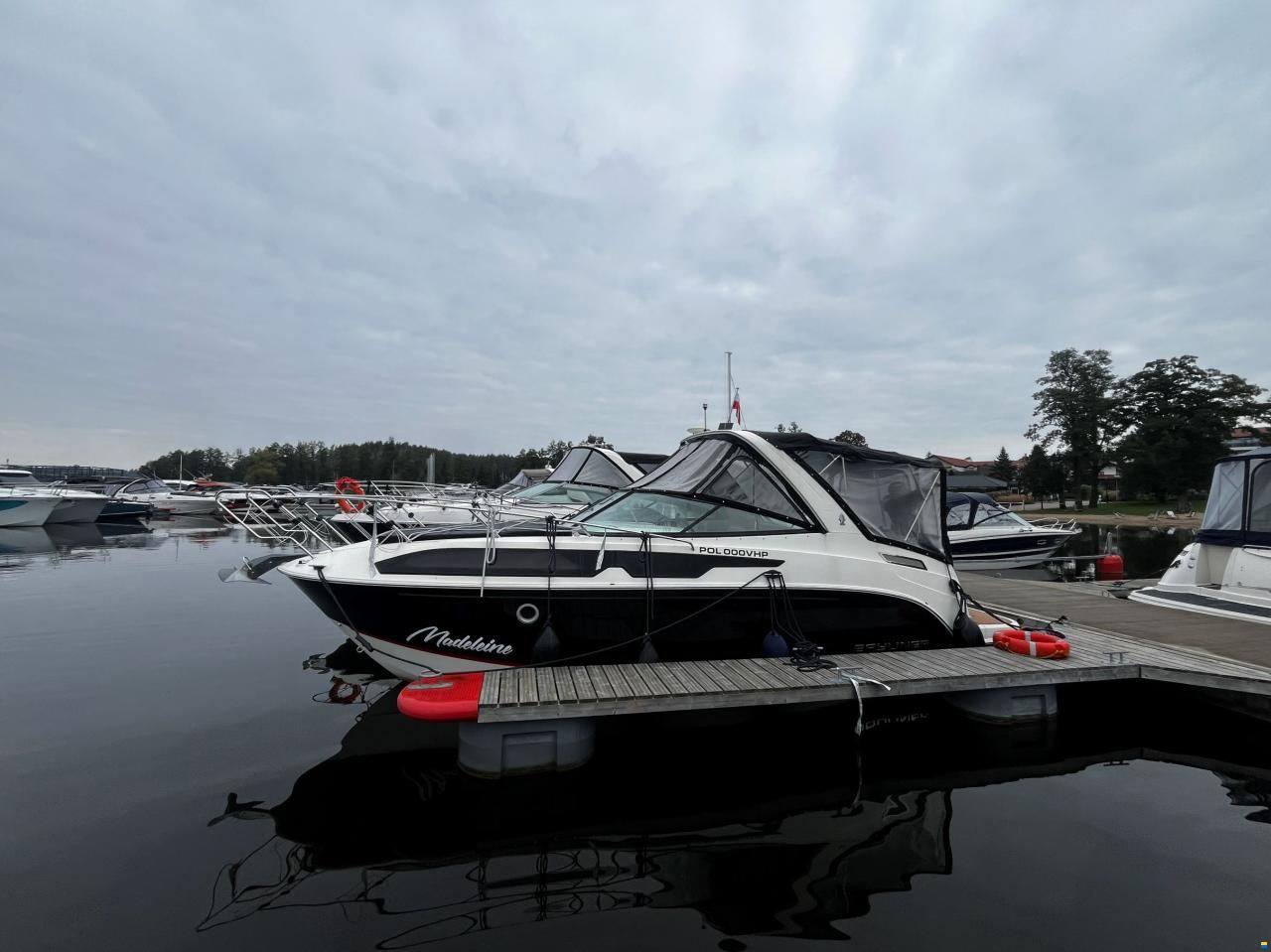 Bayliner Ciera 8
