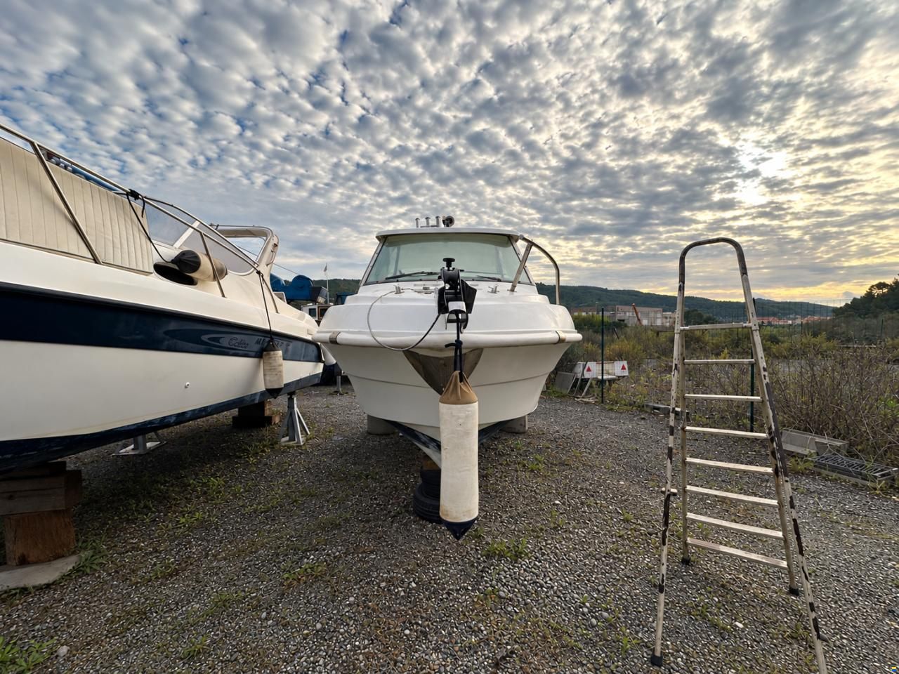 Cabinati Fish 560
