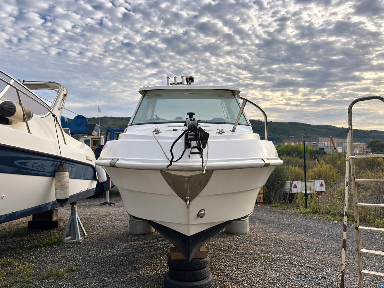 Cabinati Fish 560