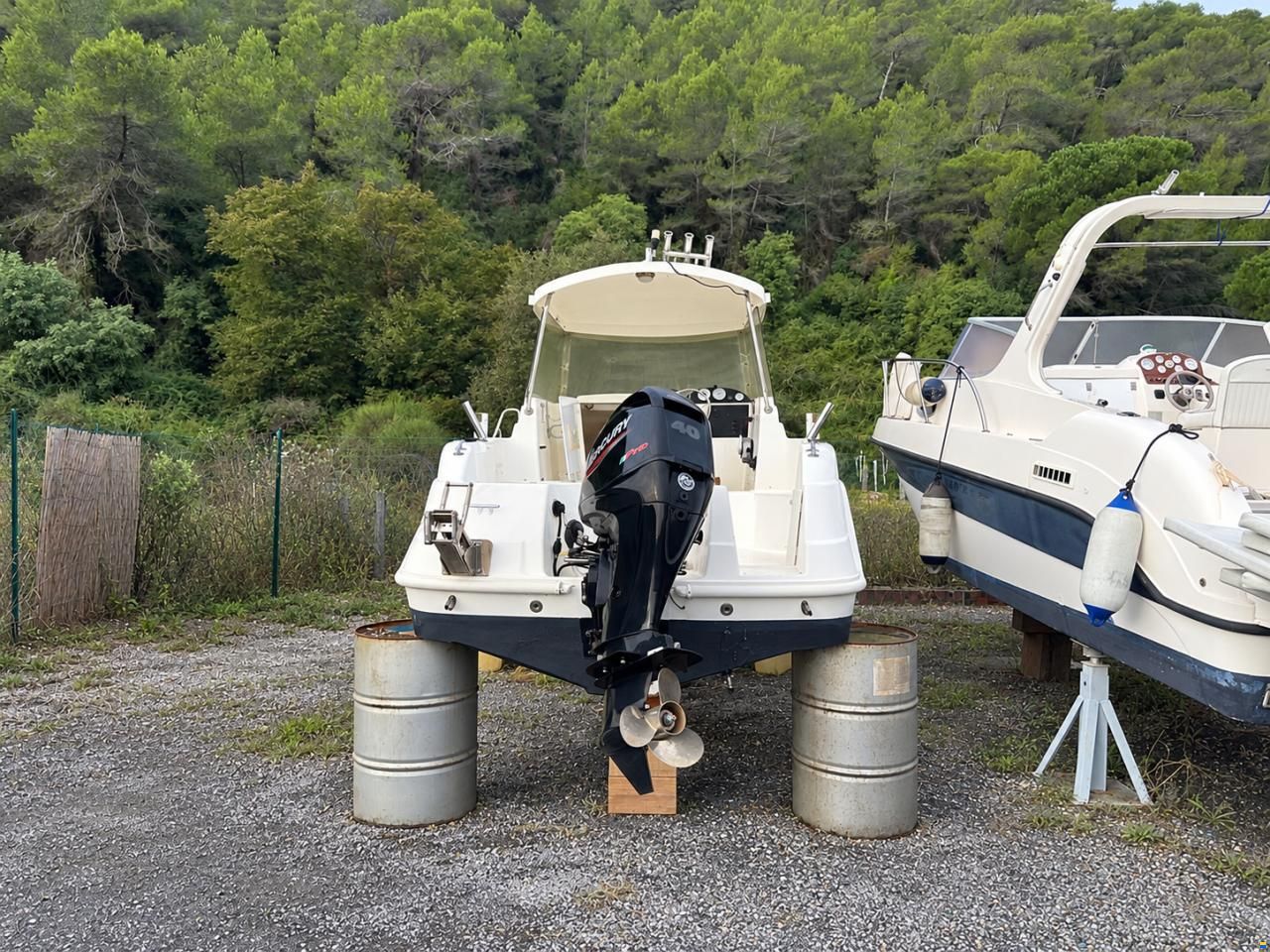 Cabinati Fish 560