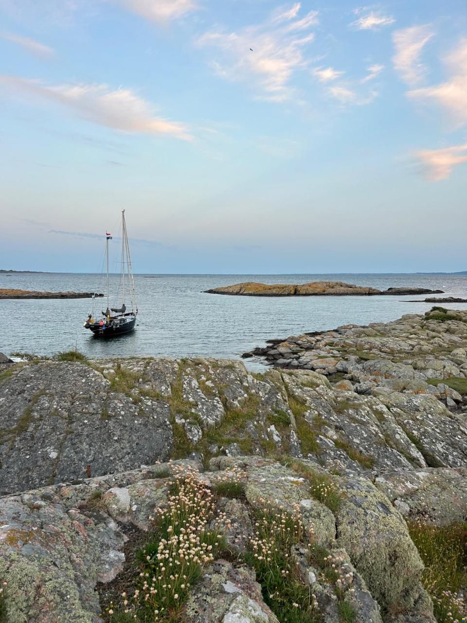 Noordkaper 36