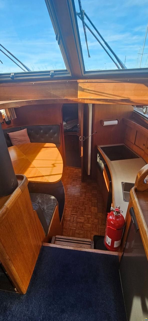 Neptunus 133 Flybridge