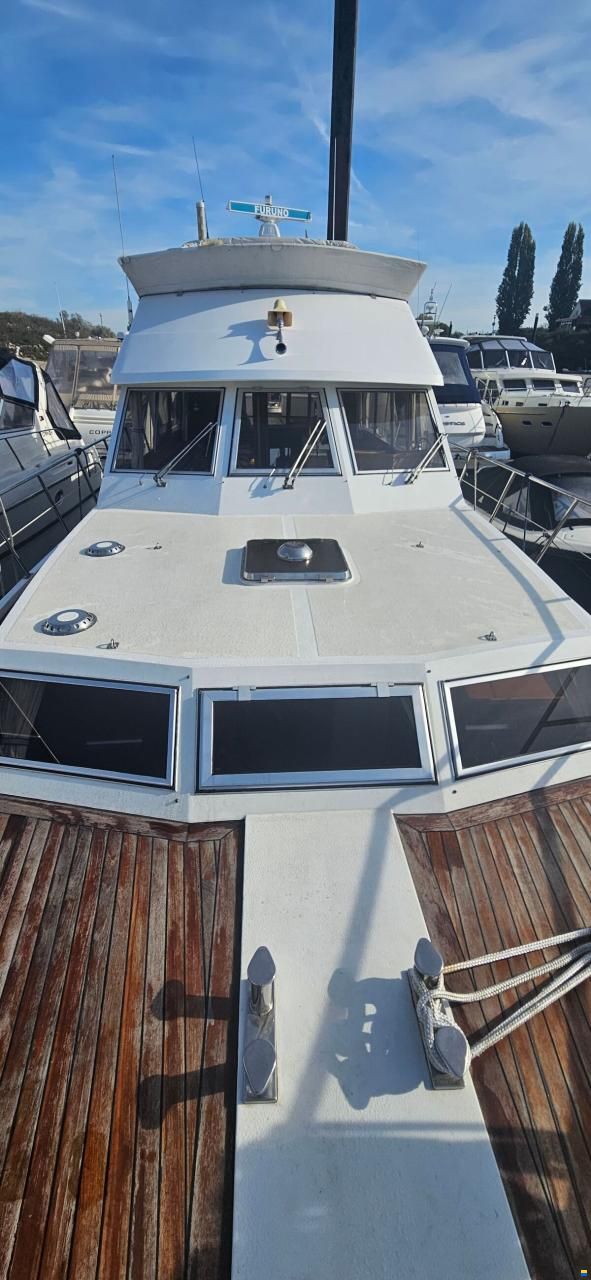 Neptunus 133 Flybridge