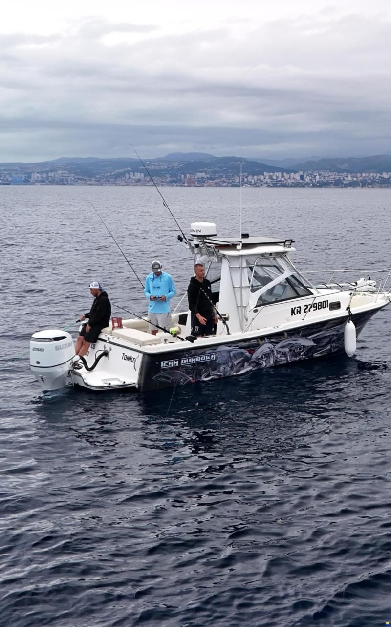 Bayliner Sportfishing boat Bayliner 2509