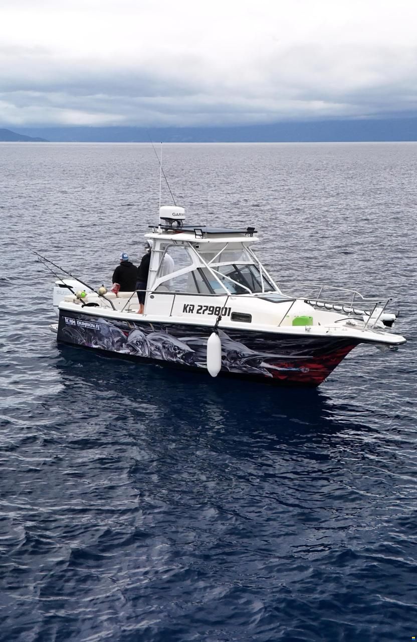 Bayliner Sportfishing boat Bayliner 2509