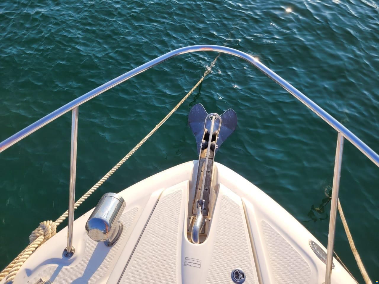 Sea Ray Sea Ray