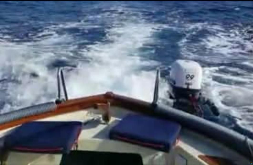 Nauticart Armonia