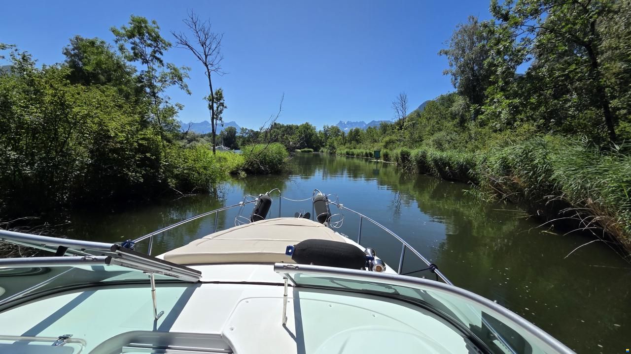 Rinker 260 EC Cruiser