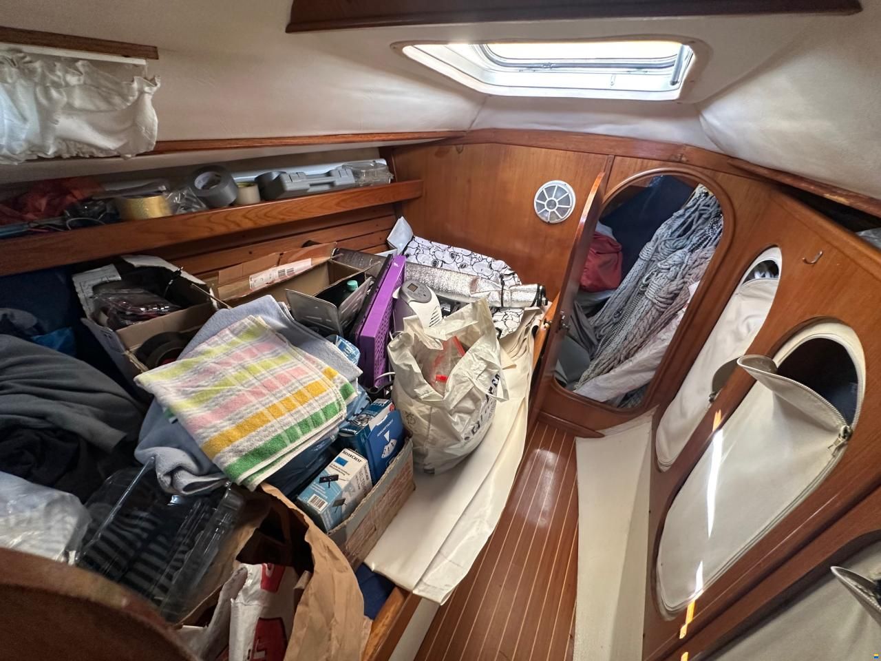 Dynamic 43