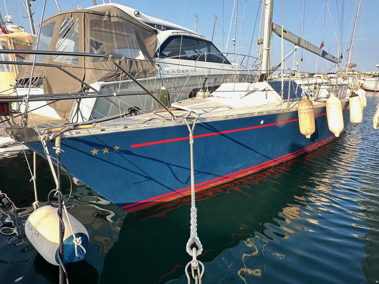 Dynamic 43