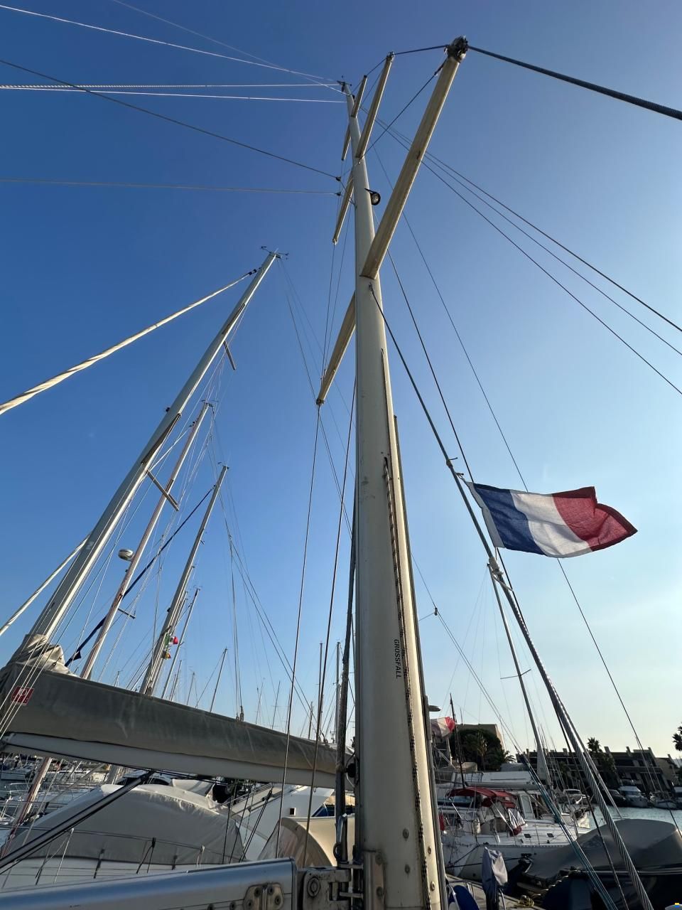 Dynamic 43
