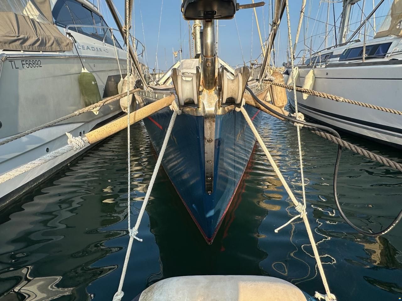Dynamic 43